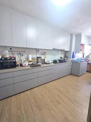 Blk 251 Hougang Avenue 3 (Hougang), HDB 5 Rooms #513131421